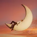 Fino alla luna