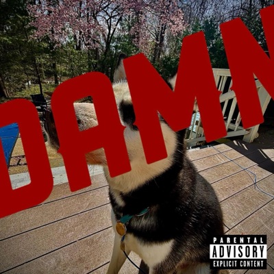 damn.. - Single