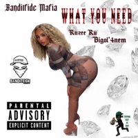 What You Need (feat. Big Ol'4nem & Ruzee Ru) - Single - Banditfide