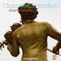 Classical Selection - Johann Strauss Walzer - Carl Michalski, Peter Falk & Wiener Volksoper Orchester