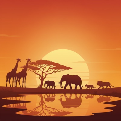 Papaoutai - Afro Soul