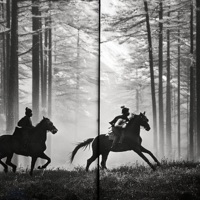 I don't curse - Single - Saint Moose