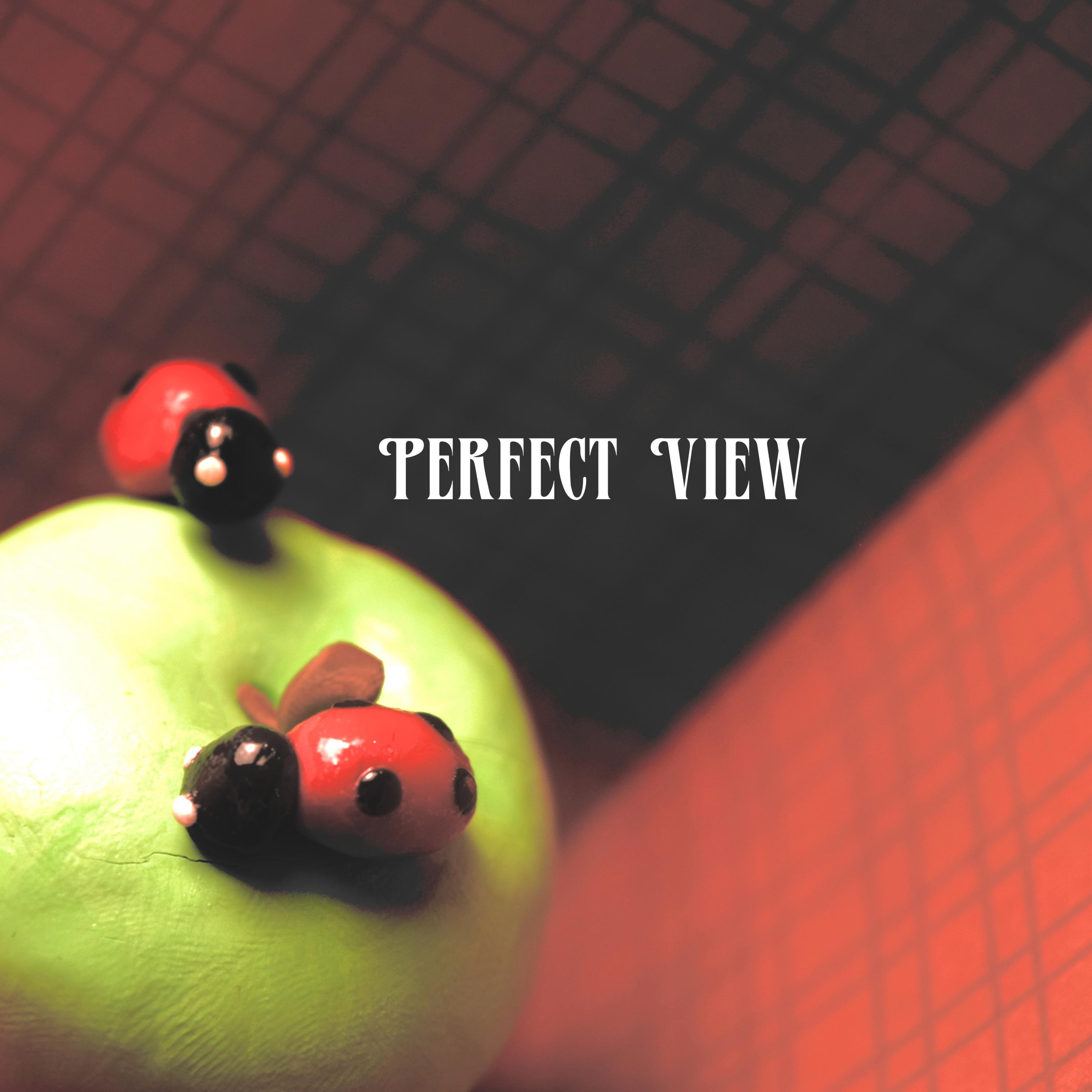 Perfect View - Single