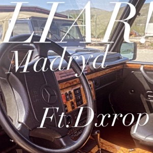 liar! (feat. dxrop) - Single
