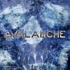 Avalanche Robstarchives