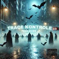 TRACE KONTROLE - Single - dedCube7