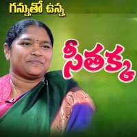 Gannutho Unna Seethakka - Single - Gaddam Santhosh Varma