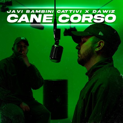 Cane Corso - Single