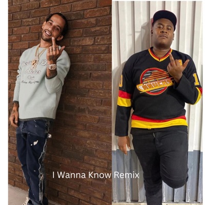 I Wanna Know Remix (feat. Frankk Finesse) - Single