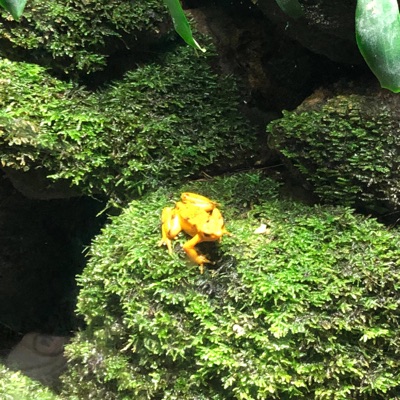 You Gotta Be Mine - Single