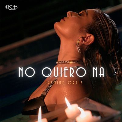 No Quiero Na - Single