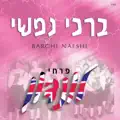 מראה כהן