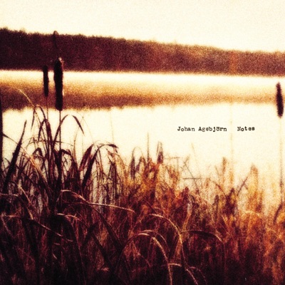 Will They Forgive Us