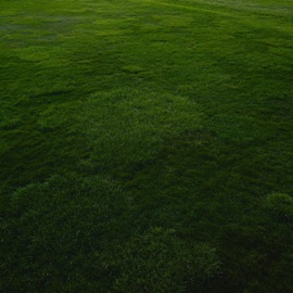 FAM (feat. Nate Isaiah) NOM