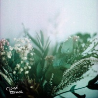 Lush Background - Single - Cloud Break