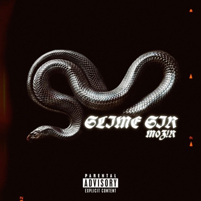 Slime sir (feat. M0Z!R) - Single