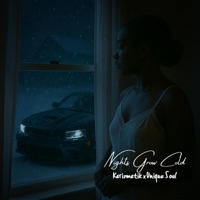 Nights Grow Cold (feat. Unique Soul) - Single - Karizmatik