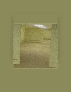 Listen to The Wanderer, watch music videos, read bio, see tour dates & more!