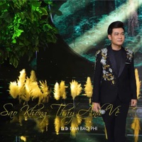 Sao Không Thấy Anh Về - Single - Lâm Bảo Phi