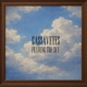 Framing the Sky Single