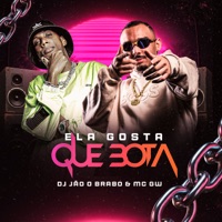 Ela Gosta Que Bota - Single - Dj jão o brabo & Mc GW