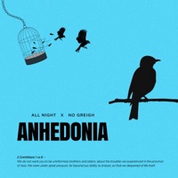 Anhedonia (feat. No Greigh) - Single - All Night