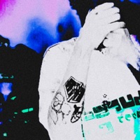 P0XY - Single - everything but rich