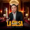 YO SOY LA SALSA