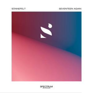 Seventeen Again - Single