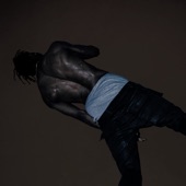 Too Many Chances artwork