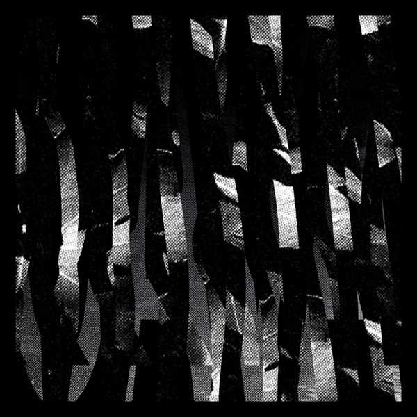 Cava - Single
