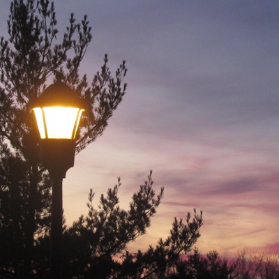 autumn leaves - Single