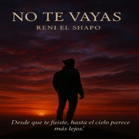 No T3 Vayas - Single - Reni El Shapo