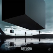 Senses (Now We Go) artwork