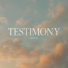 Testimony - Single