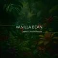 Vanilla Bean