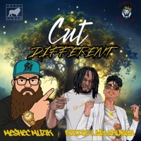 Cut Different (feat. Peezee & Ari Amunah) - Single - Meshec Muzik