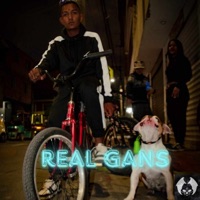 Real Gans (feat. La Bestia) - Single - LamiaProduce
