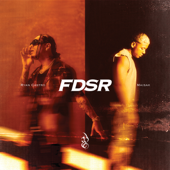 FDSR song art