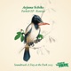 Parkish EP Remixes Single
