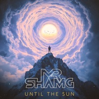 Until The Sun - Single - Mr. Sham G