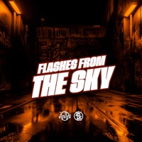 Flashes From The Sky (feat. MC GW & MC MN) - Single - Dj Marinovic