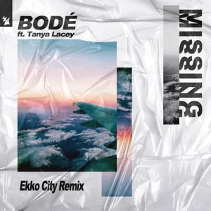 Missing (feat. Tanya Lacey) [Ekko City Extended Remix]