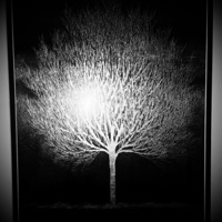 silent alchemY - Single - YAXIS