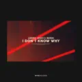 Backlash (So What) (Extended Mix)