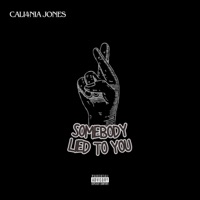 Somebody lied to You - Single - Cali4nia Jones