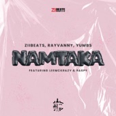 Namtaka (feat. Leemckrazy & Raspy) artwork