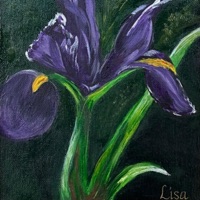 Gardenia - Single - Shane Sato