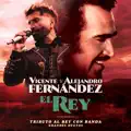 Vicente Fernandez