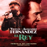 Album cover for El Rey by Vicente Fernández & Alejandro Fernández
